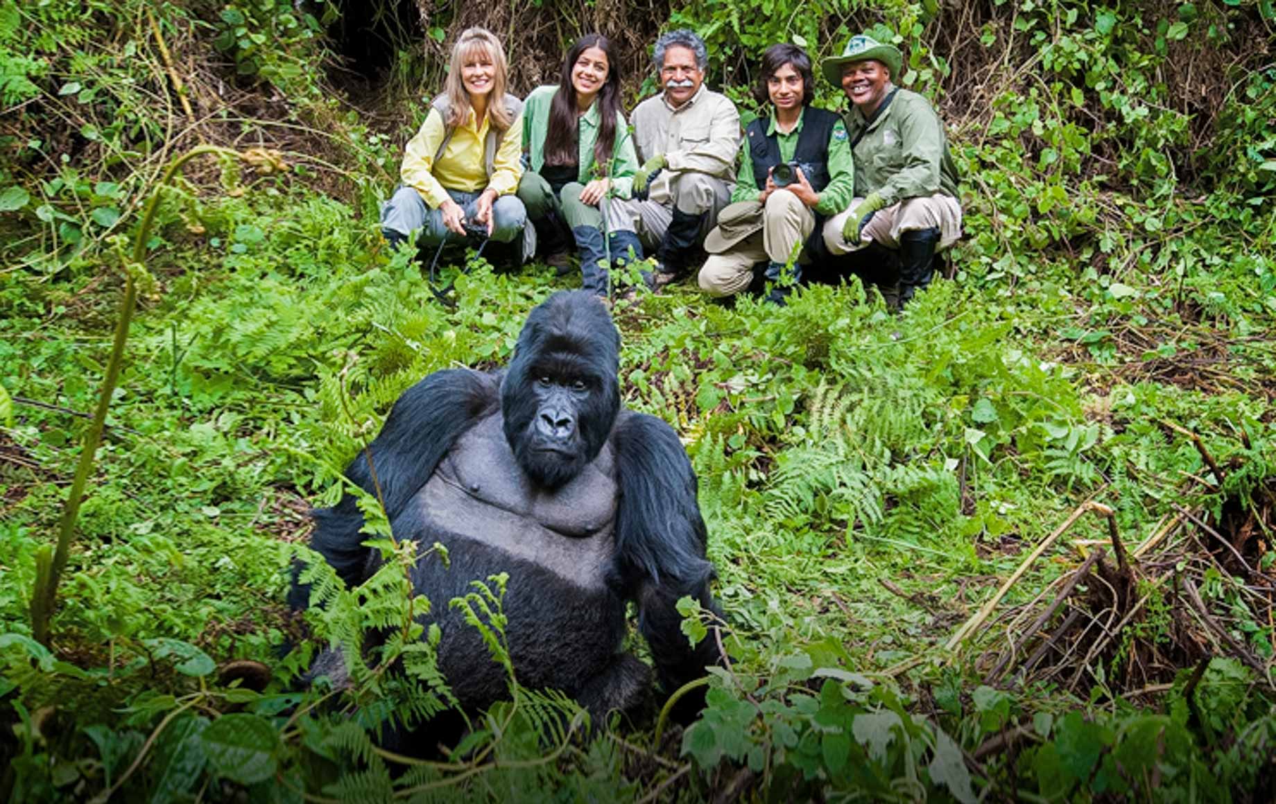 rwanda gorilla tour
