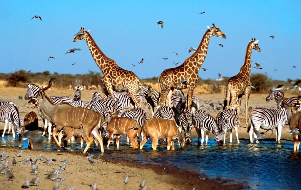 Playing Soccer in an African Village - Micato Luxury Africa Safaris