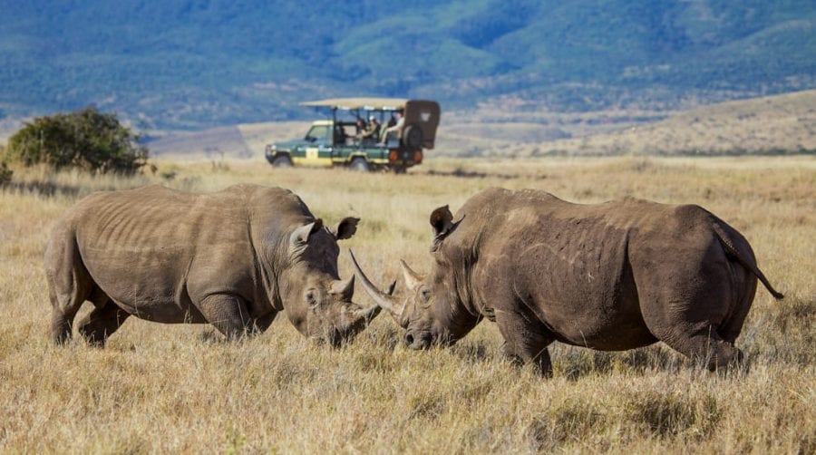 Why Choose A Luxury African Safari From Micato Micato Safaris