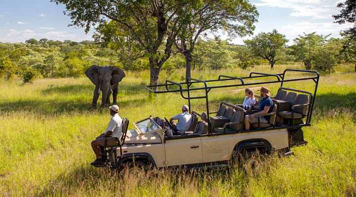 Safari Trip in Safari Vehicle - Watching Elephant Experience