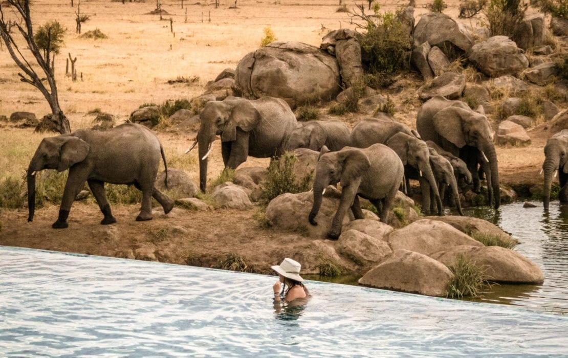 Serengeti National Park - Africa Destination - Micato Safaris