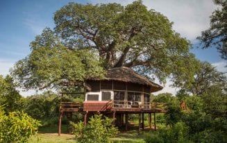 Tarangire Treetops Lodge - Micato Luxury Africa Safaris