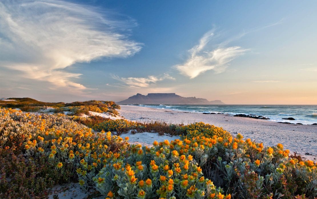 The Western Cape - Africa Destination - Micato Luxury Safaris