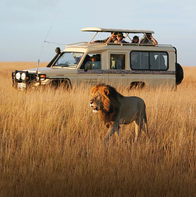 When is the Best Time to Go on Safari in East Africa? | Micato Safaris