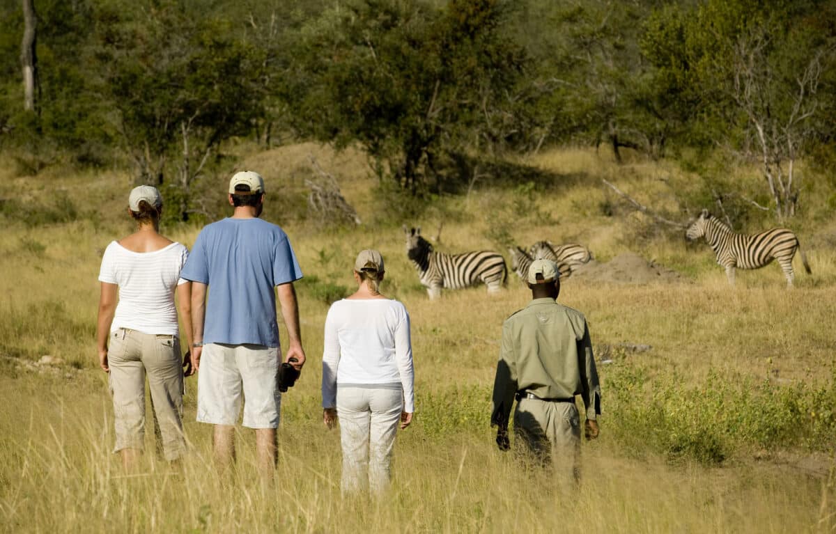 family looking at zebras.
